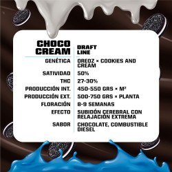 Sementes de Maconha Feminizadas Choco Cream Feminized | BSF Seeds Brasil