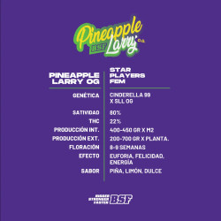 Sementes de Maconha Feminizadas Pineapple Larry OG Fem | BSF Seeds Brasil