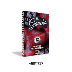 Sementes de Maconha Faster El Gaucho| BSF Seeds Brasil