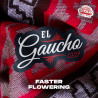 Sementes de Maconha Faster El Gaucho| BSF Seeds Brasil
