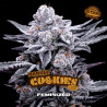 Sementes de Maconha Feminizadas Double Cookies | BSF Seeds Brasil