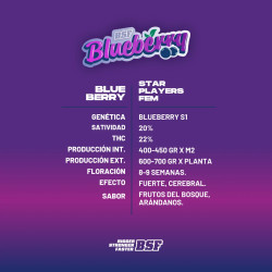 Sementes de Maconha Feminizadas Blueberry Fem | BSF Seeds Brasil