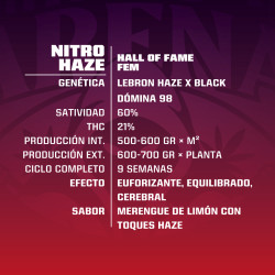 Sementes de Maconha Feminizadas Nitro Haze | BSF Seeds Brasil